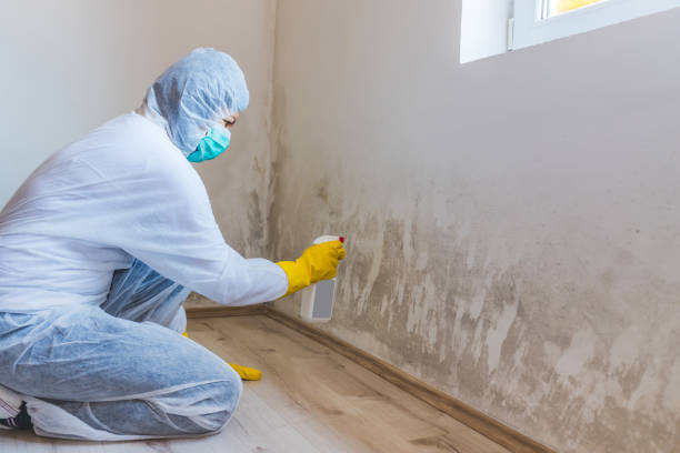Mold Remediation specialist working in Arlington